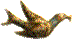 bird image